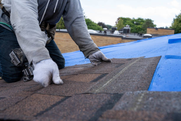 Best Shingle Roofing Installation  in Ntgomery City, MO